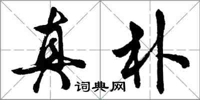 胡問遂真朴行書怎么寫