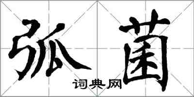 翁闓運弧菌楷書怎么寫