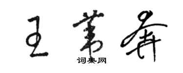 駱恆光王葦奔草書個性簽名怎么寫