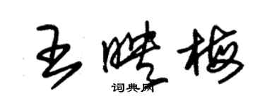 朱錫榮王映梅草書個性簽名怎么寫
