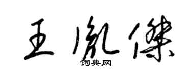 梁錦英王胤傑草書個性簽名怎么寫