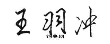 駱恆光王羽沖行書個性簽名怎么寫
