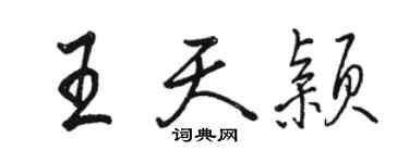 駱恆光王天穎行書個性簽名怎么寫