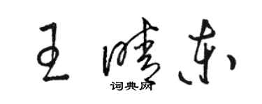 駱恆光王晴東草書個性簽名怎么寫