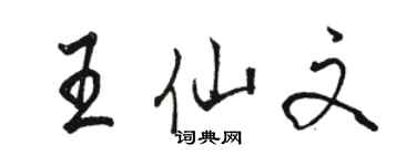 駱恆光王仙文行書個性簽名怎么寫