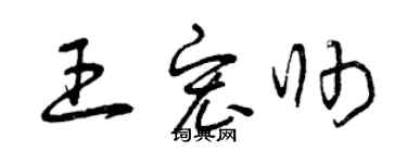 曾慶福王宏帥草書個性簽名怎么寫