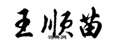 胡問遂王順苗行書個性簽名怎么寫