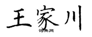 丁謙王家川楷書個性簽名怎么寫