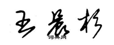 朱錫榮王晨杉草書個性簽名怎么寫