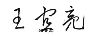 駱恆光王宜亮草書個性簽名怎么寫