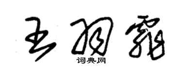 朱錫榮王羽霏草書個性簽名怎么寫