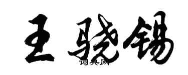 胡問遂王驍錫行書個性簽名怎么寫