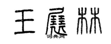 曾慶福王展林篆書個性簽名怎么寫