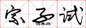 朱錫榮宗子試草書怎么寫