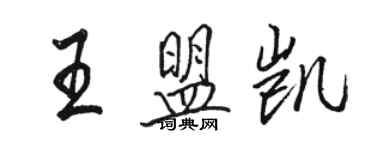 駱恆光王盟凱行書個性簽名怎么寫