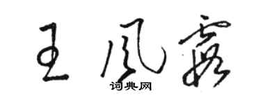 駱恆光王風霞草書個性簽名怎么寫