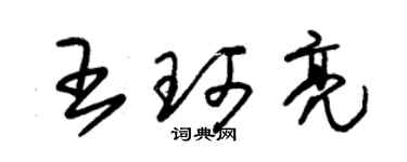 朱錫榮王珂亮草書個性簽名怎么寫
