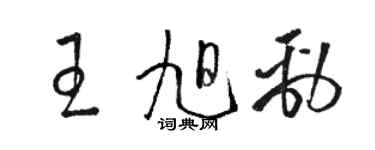 駱恆光王旭勁草書個性簽名怎么寫