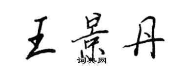 王正良王景丹行書個性簽名怎么寫