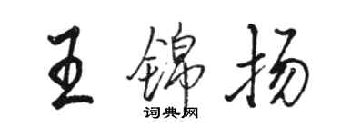 駱恆光王錦揚行書個性簽名怎么寫