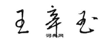 駱恆光王辛玉草書個性簽名怎么寫