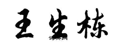 胡問遂王生棟行書個性簽名怎么寫