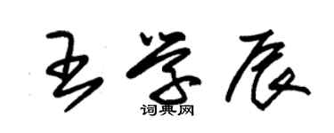 朱錫榮王學辰草書個性簽名怎么寫