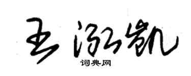 朱錫榮王泓凱草書個性簽名怎么寫