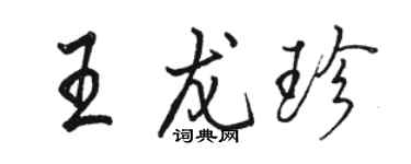 駱恆光王龍珍行書個性簽名怎么寫