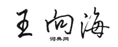 駱恆光王向海行書個性簽名怎么寫