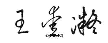 駱恆光王愛凝草書個性簽名怎么寫