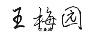 駱恆光王梅園行書個性簽名怎么寫