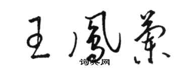 駱恆光王鳳蘭草書個性簽名怎么寫