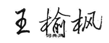 駱恆光王榆楓行書個性簽名怎么寫