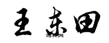 胡問遂王東田行書個性簽名怎么寫