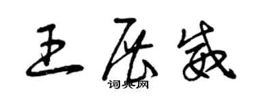 曾慶福王展威草書個性簽名怎么寫