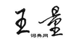 駱恆光王量行書個性簽名怎么寫