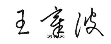 駱恆光王章波草書個性簽名怎么寫