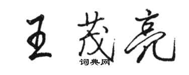 駱恆光王茂亮行書個性簽名怎么寫