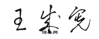 駱恆光王成憲草書個性簽名怎么寫