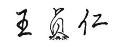 駱恆光王貞仁行書個性簽名怎么寫