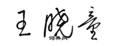 駱恆光王曉童草書個性簽名怎么寫