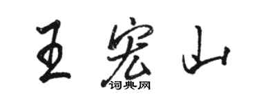 駱恆光王宏山行書個性簽名怎么寫