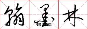 梁錦英翰墨林草書怎么寫