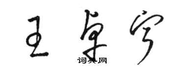 駱恆光王卓寧草書個性簽名怎么寫