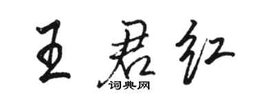 駱恆光王君紅行書個性簽名怎么寫