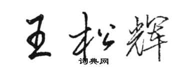 駱恆光王松輝行書個性簽名怎么寫