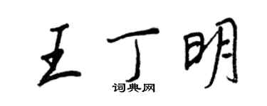 王正良王丁明行書個性簽名怎么寫