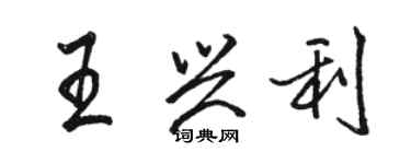 駱恆光王興利行書個性簽名怎么寫