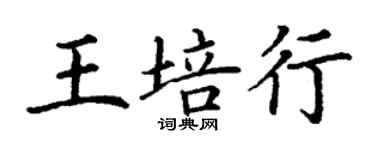 丁謙王培行楷書個性簽名怎么寫